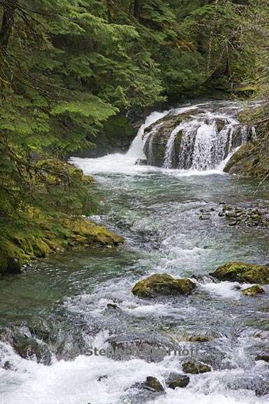 stream opal creek 2 graphic